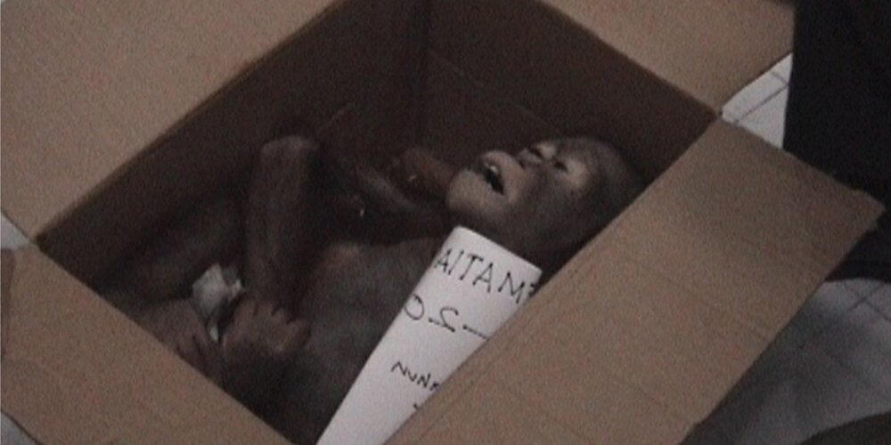 σκύλος ως πειραματίζωο