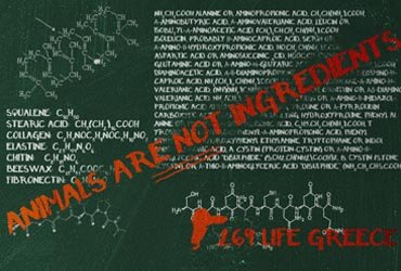 Ζωικά συστατικά που περιέχονται στα καλλυντικά. Τι κρύβεται πίσω από τις ονομασίες που δεν μπορούμε να κατανοήσουμε με την πρώτη ματιά;